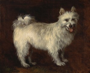 スピッツ犬、犬、ca。 1765年。 作： Thomas Gainsborough