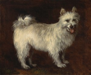 スピッツ犬 作： Thomas Gainsborough