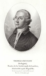 トーマス・ペナント 作： Thomas Gainsborough