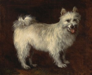 スピッツ犬 作： Thomas Gainsborough RA