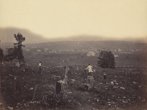 Waymart, DE. & Hudson Canal Co., c. 1863-1865。 作： Thomas H. Johnson