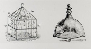 1900年に出版されたThomas Mawsonの「The Art and Craft of Garden Making」に掲載されたスズメバチとハエのトラップ（彫刻）（モノクロ写真） 作： トーマス・ヘイトン・モーソン