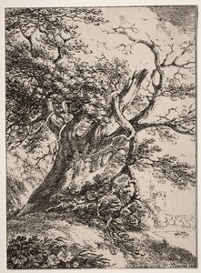 Polyautographyの標本：オークの木のある風景、1803。 作： Thomas Hearne