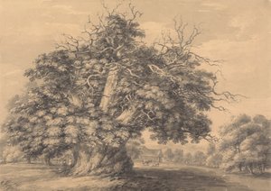 ハートフォードシャー州リトル ワイモンドリーの栗の木 作： Thomas Hearne
