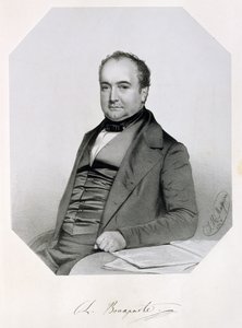 チャール・ルシアン・ジュール・ローラン・ボナパルト、カニーノの王子とムジニャーノ（1803-57）1850 作： Thomas Herbert Maguire