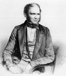 チャールズダーウィン、1849年 作： Thomas Herbert Maguire