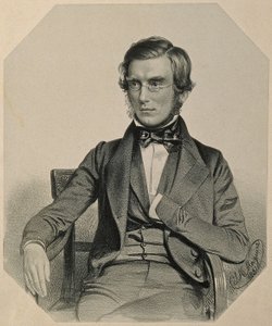 ジョセフダルトンフッカー卿の肖像、1851年 作： Thomas Herbert Maguire