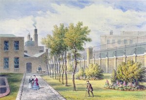 ガーデンオブセントトーマス病院、サザーク、ロンドン 作： Thomas Hosmer Shepherd