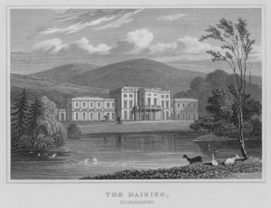 The Haining, Selkirkshire (carving)