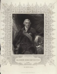 ジョセフ・バンクス卿 作： Thomas Lawrence