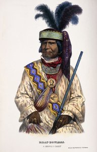 ビリー・ボウレグス、セミノール酋長、1899年 作： Thomas Loraine McKenney