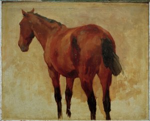 馬の研究 作： Thomas Ludwig Herbst