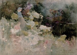 カワセミ、1899年