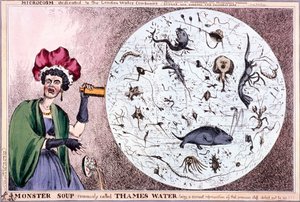 「モンスター スープ、通称テムズ ウォーター...」、1828 年 作： Thomas McLean