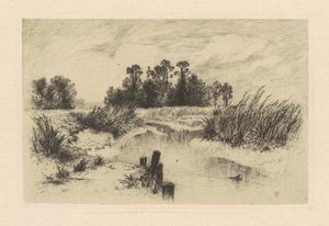 ニューアークメドウズで 作： Thomas Moran