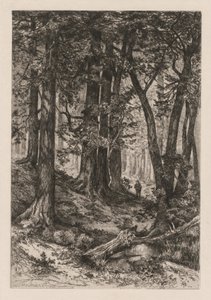 カリフォルニアの森の内部（トーマス・モラン（アメリカ人）による。 作： Thomas Moran
