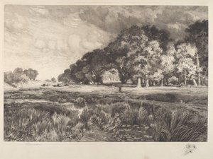 ロングアイランドの風景 作： Thomas Moran