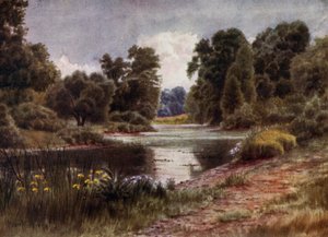 キュー・ガーデンThe Lake, Looking South（カラーリトグラフ 作： Thomas Mower Martin
