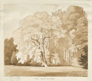 インガスター-木の研究：セピア色の描画、nd [？1838]（描画） 作： Thomas Peploe Wood