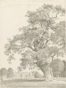 ティクソール-オークツリー：ペンとウォッシュの描画 作： Thomas Peploe Wood