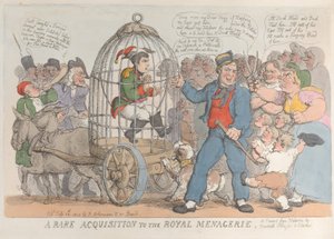 1815 年 7 月 28 日の王立動物園へのまれな買収、1815 年 7 月 28 日。 作： Thomas Rowlandson