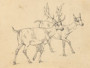アルバムの描画
