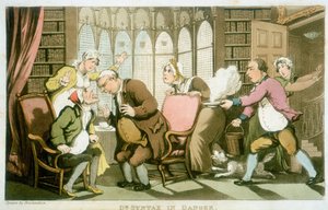 「Dr Syntax in Danger」、1820年 作： Thomas Rowlandson