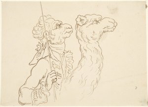 男とラクダ