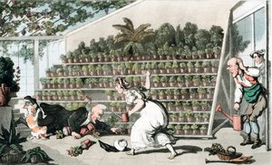 チューリップホールの不幸、c1816 作： Thomas Rowlandson
