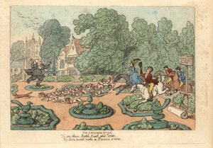 庭を踏み荒らすキツネ狩りや猟犬を罵る牧師。 作： Thomas Rowlandson