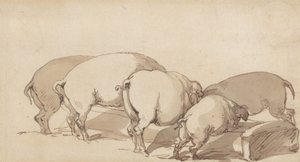 餌箱の豚たち 作： Thomas Rowlandson