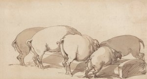 トラフの豚、1790年頃（ペンとインクを使用したグラファイトと紙に茶色のウォッシュ） 作： Thomas Rowlandson