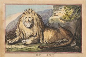タイトルページ付きの8点セット。『外国と国内の動物』。第3巻　雌ライオン 作： Thomas Rowlandson