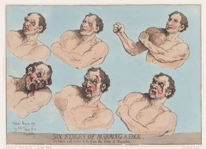 顔を傷つける 6 つの段階、1792 年 5 月 29 日。、1792 年 5 月 29 日。 作： Thomas Rowlandson