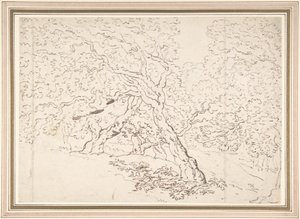樹木に関する研究 作： Thomas Rowlandson