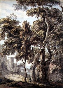 樹木の習作（紙にペン・インク、水彩） 作： Thomas Sandby