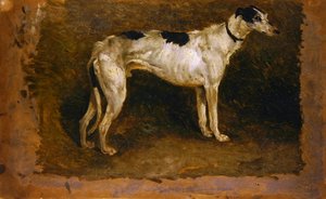 A Lurcher（油彩・紙） 作： Thomas Sidney Cooper