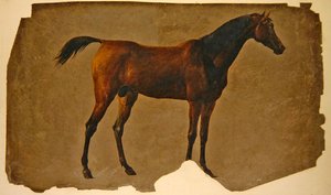 アラブの馬」（油彩・紙） 作： Thomas Sidney Cooper