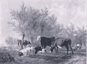 牛のいる風景」『The Magazine of Art 1893』（Cassell and Company）より 作： Thomas Sidney Cooper
