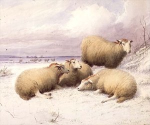 雪の中の羊」（水彩・紙） 作： Thomas Sidney Cooper
