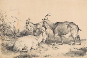  作： Thomas Sidney Cooper