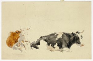 横たわる2頭の牛（レクト）、立つ牛のスケッチ（裏面） 作： Thomas Sidney Cooper