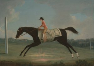 スルタナに乗る少年としてのボーラス・コカイン 作： Thomas Smith of Derby