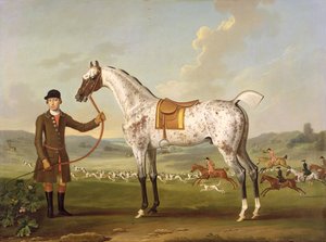 スキピオ、ロッシュ大佐の斑点ハンター、1750年頃 作： Thomas Spencer