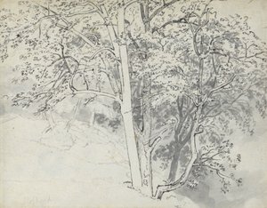 木の研究 作： Thomas Stothard