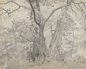 木の研究 作： Thomas Stothard