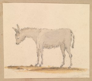 ロバの習作 1820年頃 （ペン・インク、水彩、水彩） 作： Thomas Streatfeild