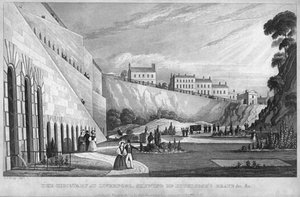 1831年、リバプールの墓地、ハスキソンの墓などを刈り取った。