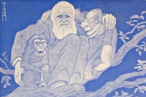 1909年の漫画、ダーウィンとサルのディテール
