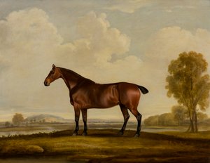 ジョージアナ：馬、1819年頃（キャンバスに油彩） 作： Thomas Weaver